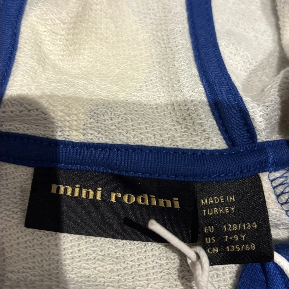 Mini Rodini pigeons Blue Hoodie - Picture 3 of 7